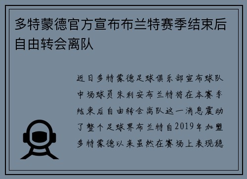 多特蒙德官方宣布布兰特赛季结束后自由转会离队